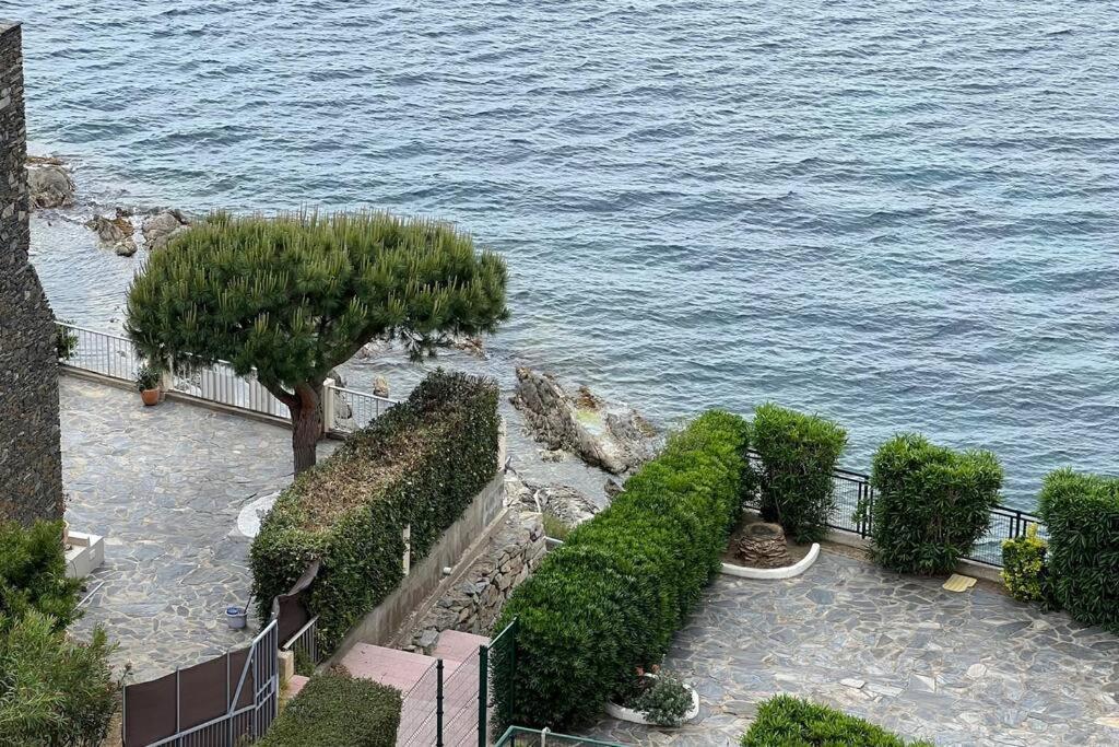 Apartamento Tres Habitaciones Con Vistas Al Mar En Roses Dış mekan fotoğraf